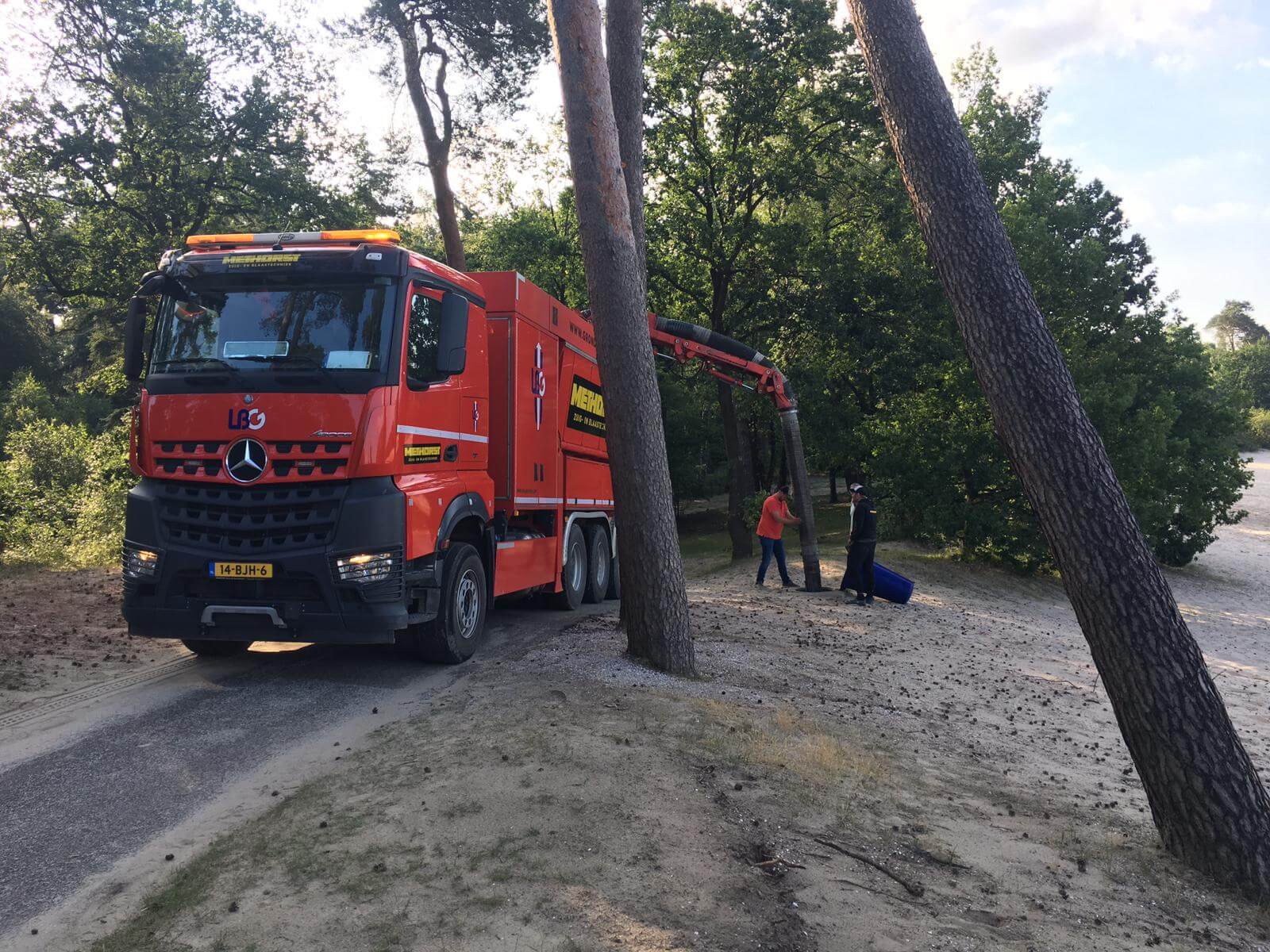 Gat Zuigen Bij Bomen