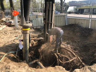 boomwortels vrijzuigen