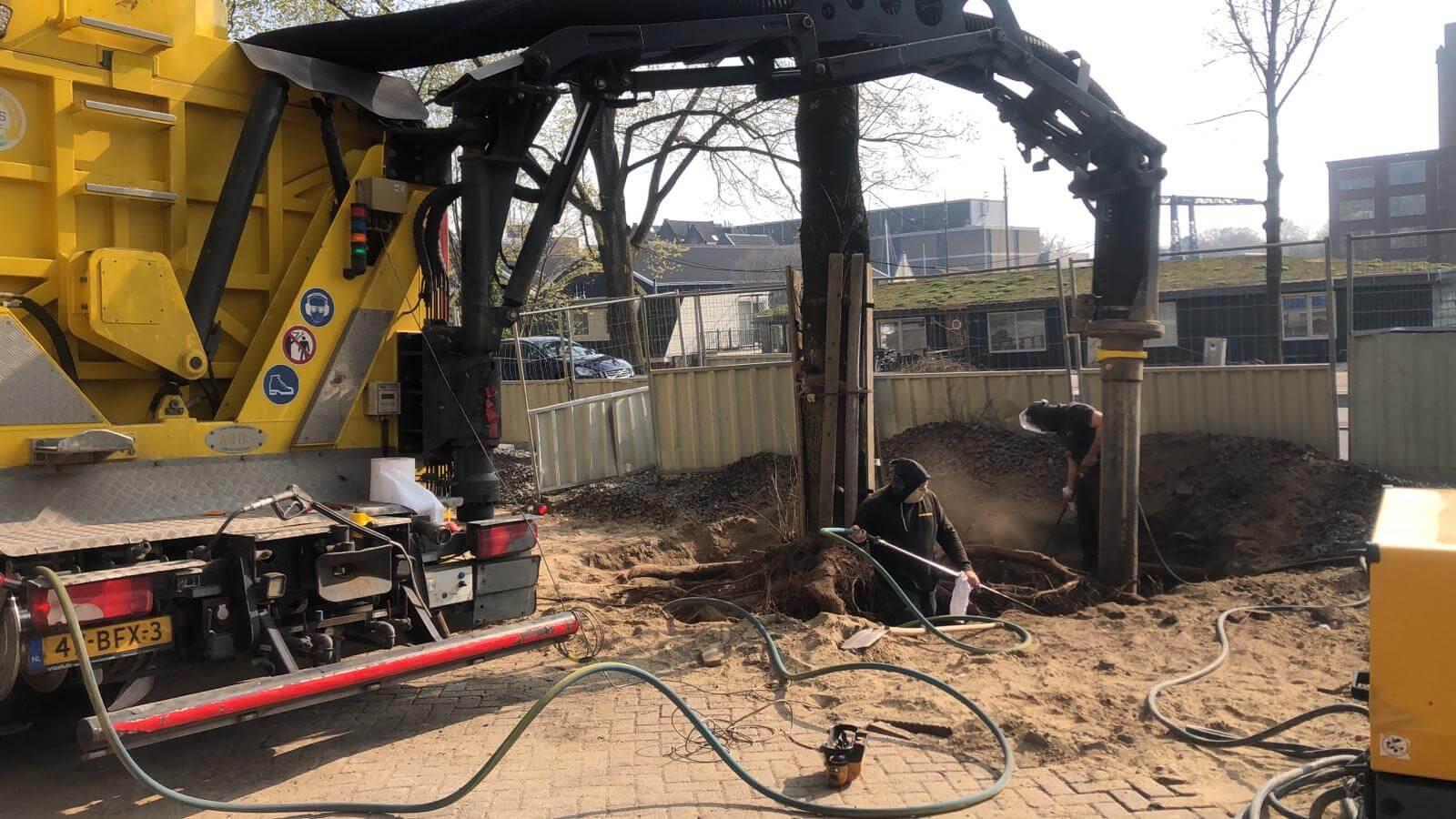 boomwortels vrijgraven